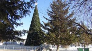 DSC00727 12-31-2016.JPG