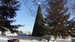 DSC00728 12-31-2016.JPG