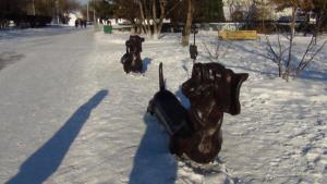 DSC00732 12-31-2016.JPG