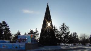 DSC00740 12-31-2016.JPG