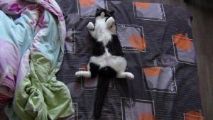 DSC00761 01-01-2017.JPG