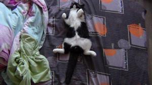 DSC00763 01-01-2017.JPG