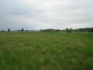 фото места копа.jpg