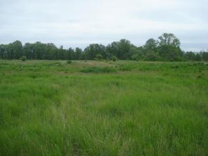 фото места копа2.jpg