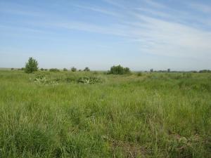 место копа.jpg