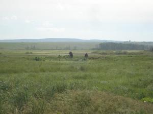 место копа2.jpg