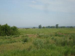 место копа3.jpg