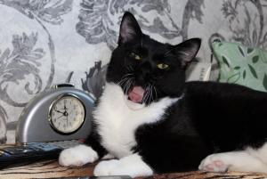 IMG_0061 01-22-2017.JPG