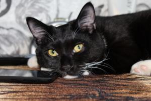 IMG_0058 01-22-2017.JPG