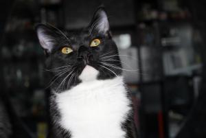 IMG_0013 01-22-2017.JPG