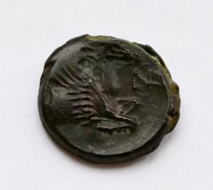 DSC_0183 (Custom).JPG