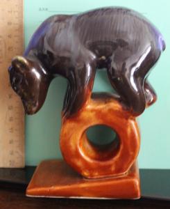 2017-01-26 10-05-16.JPG