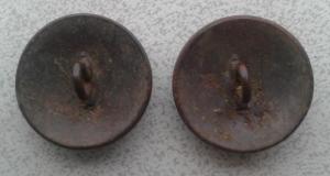 20170128_093304 (2).jpg