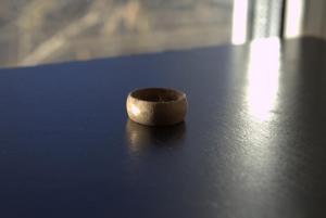 2017_02_05_0072 02-05-2017.jpg