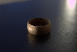 2017_02_05_0075 02-05-2017.jpg