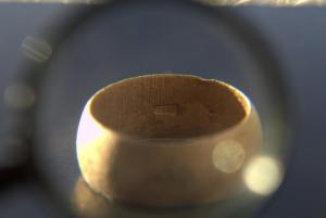 2017_02_05_0091 02-05-2017.jpg