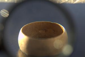 2017_02_05_0093 02-05-2017.jpg