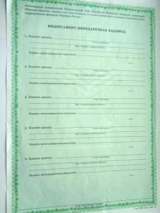 Изображение 19755.jpg