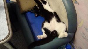 DSC00830 02-12-2017.JPG