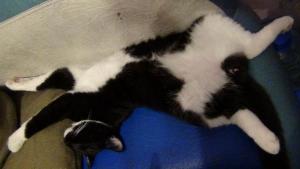 DSC00834 02-12-2017.JPG