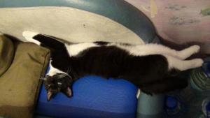 DSC00838 02-12-2017.JPG