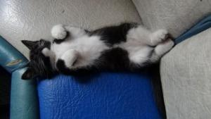 DSC00334 02-12-2017.JPG