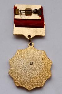 DSC_0263 (Custom).JPG