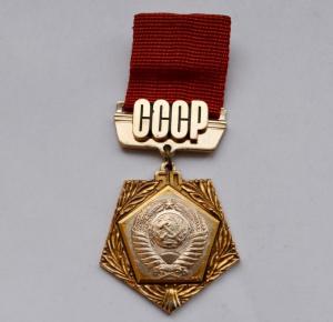 DSC_0264 (Custom).JPG