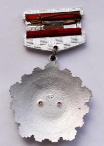 DSC_1016 (Custom).JPG