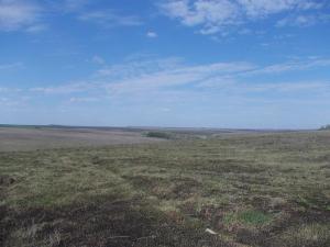 Изображение 044.jpg