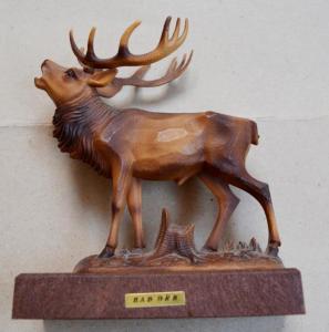 DSC_1338 (Custom).JPG