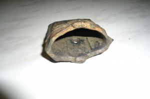 2017-02-19 11.11.54.jpg