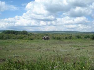 место копа.jpg