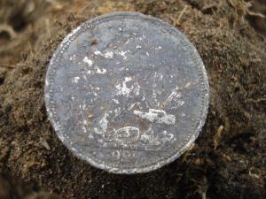 50 коп в земле.jpg