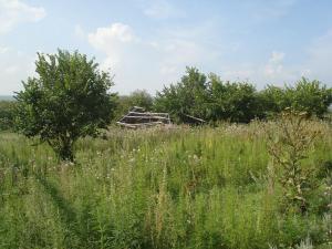 коп в старой деревне.jpg