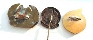 Изображение 19483.jpg