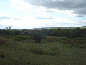 место копа.jpg