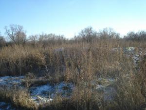 осенний коп.jpg