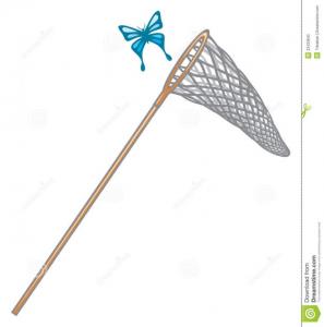 butterfly-and-net-for-butterflies-60011.jpg