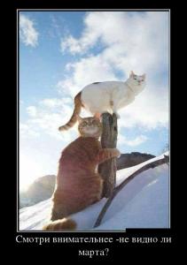 podborka_luchshikh_demotivatorov_294_040.jpg