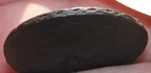 Изображение 13450.jpg