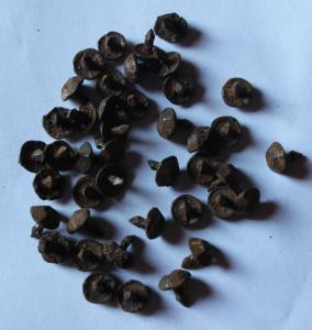 2017-03-01 15-28-58.JPG