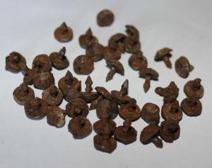 2017-03-01 15-29-09.JPG