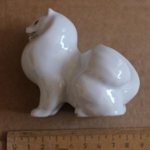 2017-03-04 12-05-58.JPG