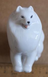 2017-03-04 12-06-17.JPG