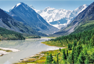 2017-03-08 00.11.42.png