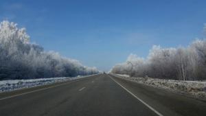 2017-03-16 14.54.02.jpg