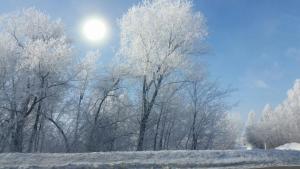 2017-03-16 14.54.31.jpg