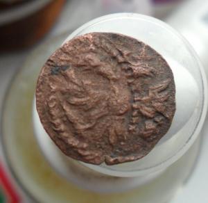 2017-03-30 08-07-54.JPG