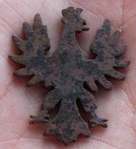 Изображение 13854.jpg